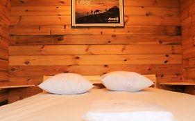 Chalet Ariegeois